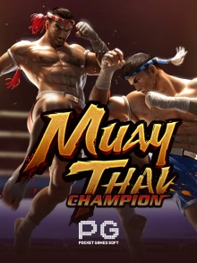 Muay Thai Champion